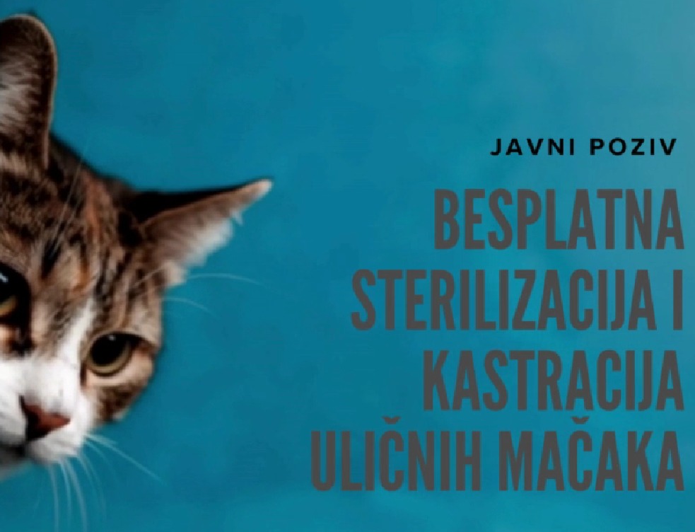 Sterilizacija mačaka ilustracija