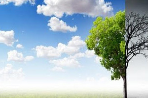 Ilustracija radionice