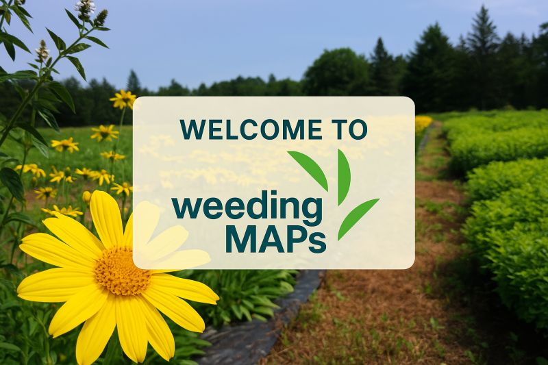 weeding logo